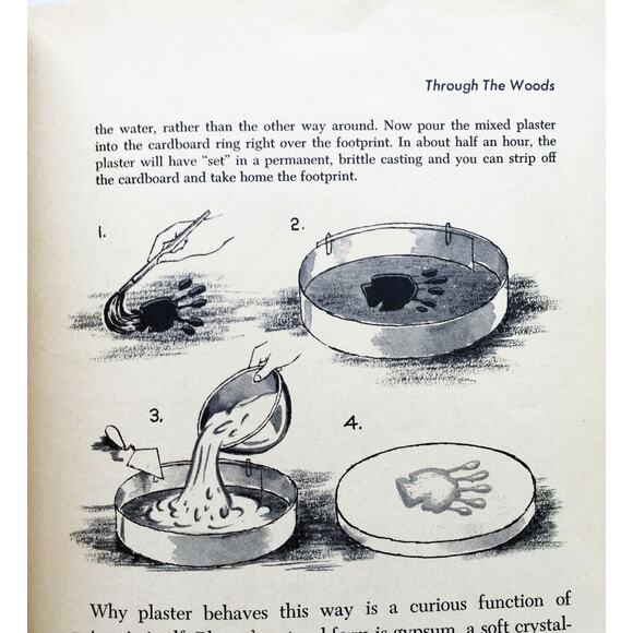 NATURE CRAFT - (1965) Golden Book Question & Answer Adventures Children’s Book - Picture 4 of 5